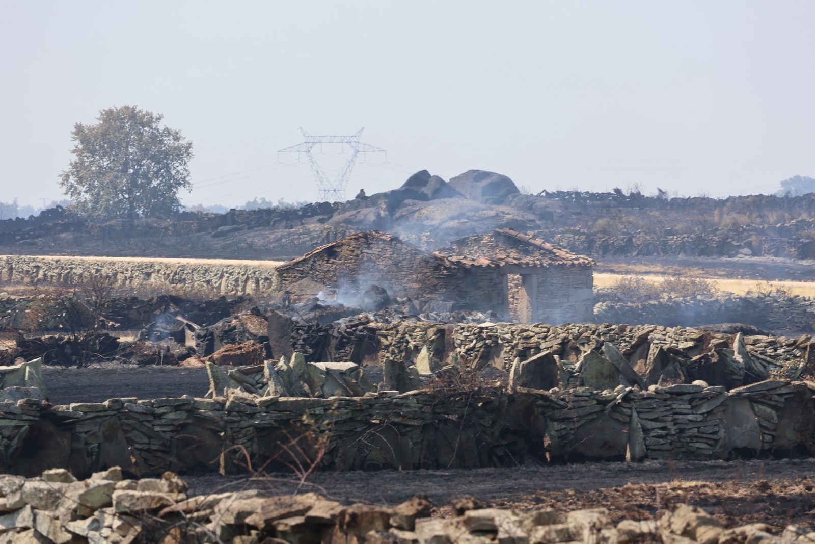 Estado Tras El Incendio De Fermoselle (10)