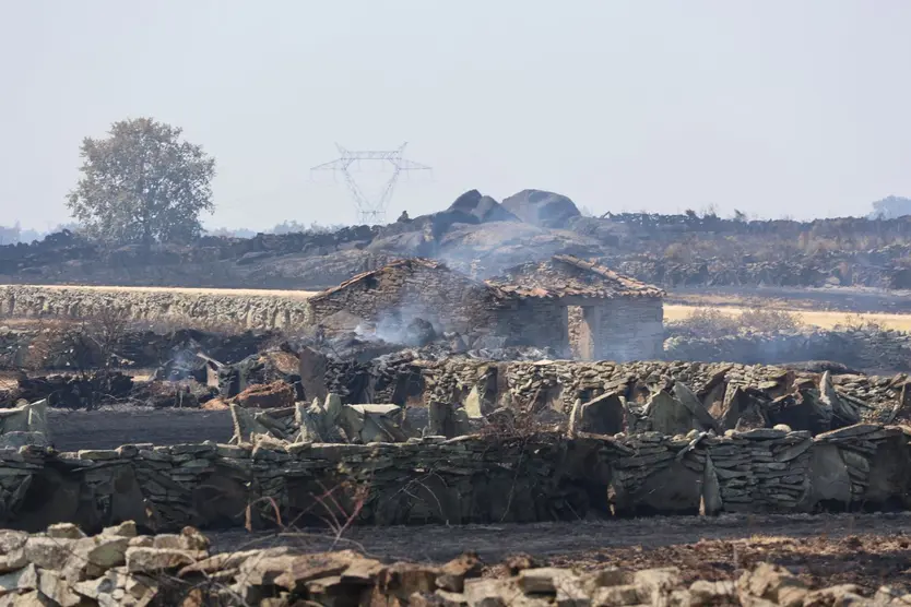 Estado Tras El Incendio De Fermoselle (10)
