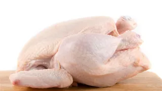 Pollo
