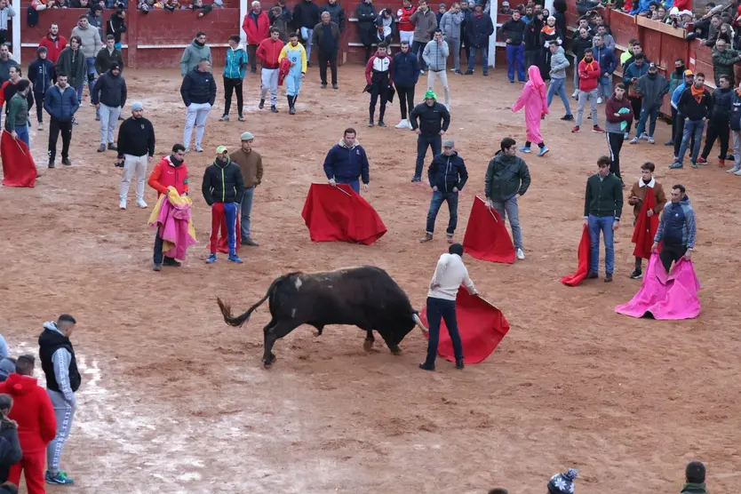 Capea Carnaval del Toro Ciudad Rodrigo 