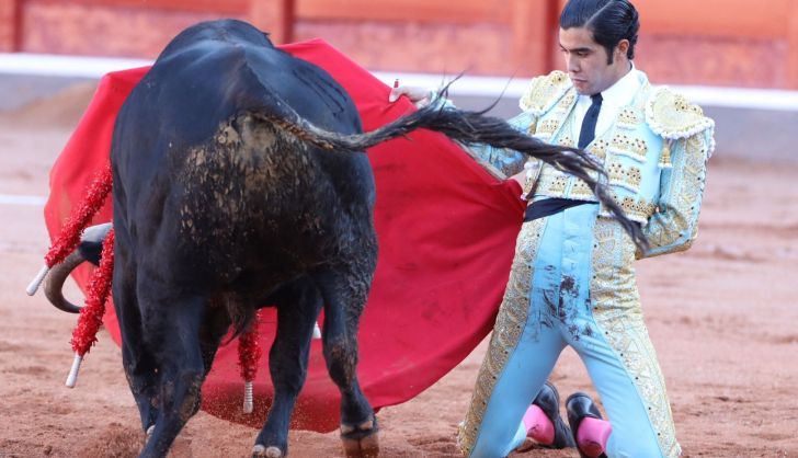 Diego San Román por Manoletinas de rodillas
