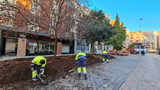 Obras en la calle Gütenberg