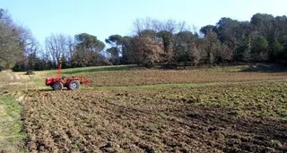 Agricultura convoca ayudas para el asesoramiento agrario en 2025