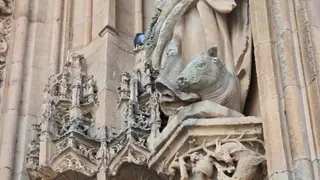 Piedra corroída por las humedades en la Catedral de Salamanca