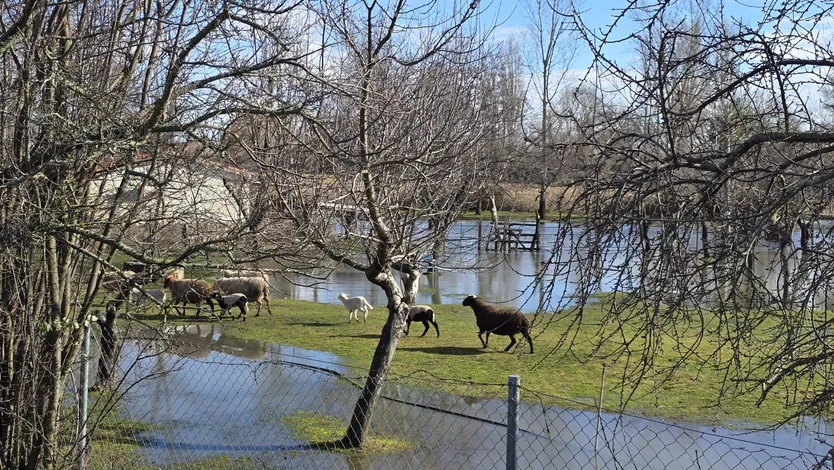 Río Almar desbordado en San Vicente (1)