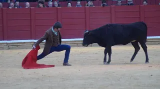 Final del Bolsín Taurino de Zamora