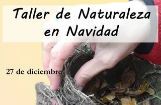 Cartel Taller de Naturaleza en Navidad