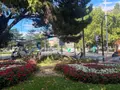 Caída rama Torres Villarroel