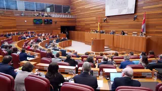 Votación en la segunda sesión del pleno de las Cortes de Castilla y León. | Miriam Chacón