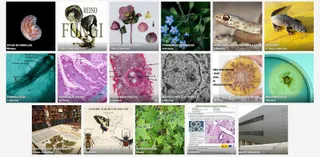Galería Imaginarium de la Biblioteca de Biología de la USAL | USAL