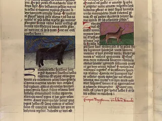 Exposición sobre la historia del libro en el Aula de la Columna de las Escuelas Mayores