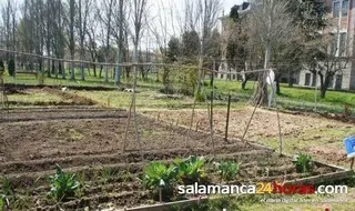 El Ayuntamiento abre el plazo para poder solicitar los huertos familiares