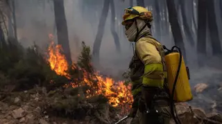 Bombero forestal. Foto EP