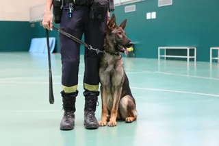 Unidad Canina de la Policía Local de Salamanca