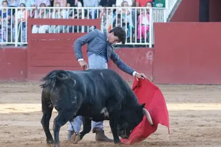 Clase práctica de tauromaquia de este lunes, 9 de septiembre