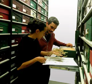 Investigadores 2
