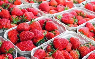 Fresas envasadas. Foto EP