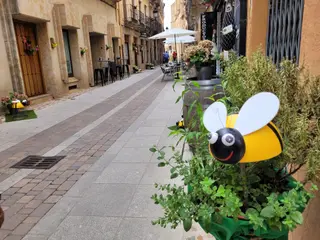 Concurso floral en Ciudad Rodrigo