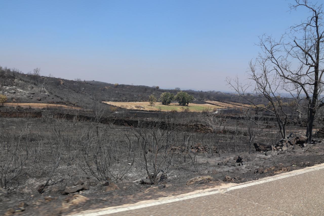 Estado Tras El Incendio De Fermoselle