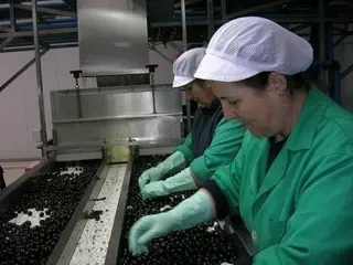 Las cooperativas podrán ampliar su actividad con terceros para compensar los efectos de la sequía