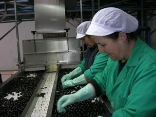 Las cooperativas podrán ampliar su actividad con terceros para compensar los efectos de la sequía