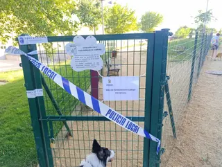 Imagen del pipican con una cinta de la Policía Local y un cartel informativo de su situación