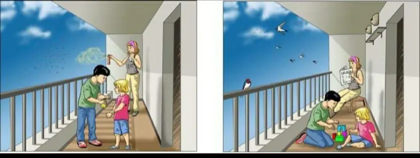 3