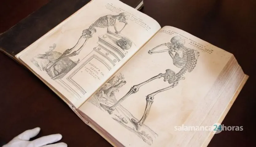 Reportaje en la Biblioteca General Histórica