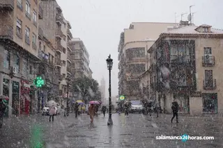 Nieve salamanca (1)