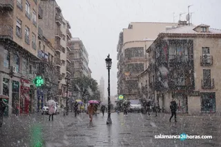 Nieve salamanca (1)