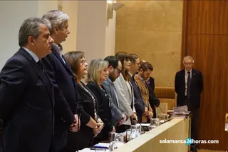 Pleno municipal marzo 2019 (35) (Copy)