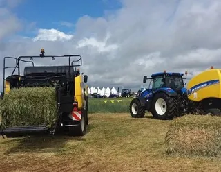 El sector agrícola, en pleno crecimiento laboral