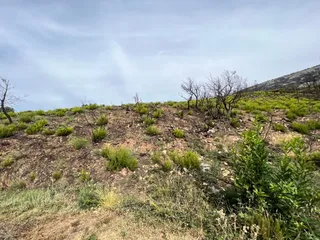 Paso de los lobos hacia Monsagro (27)
