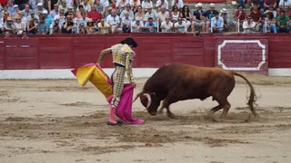 Corrida de toros Corpus 2017 Ledesma