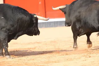 Imagen de archivo del desenjaule en la plaza de toros La Glorieta | Juanes