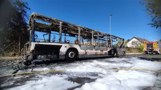 GALERÍA | Incendio de un autobús en los almendros