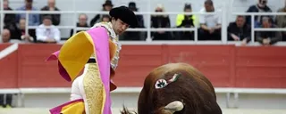 Ovación para Juan del Álamo en Dax