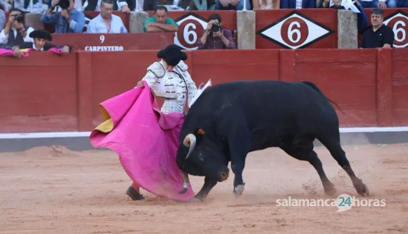 Corrida mixta del Capea: momentos más destacados del segundo festejo de abono de la Feria Taurina Virgen de la Vega 2014. Fotos Andrea M.