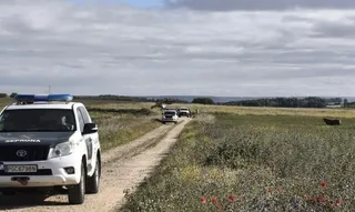 Res brava fugada en Morales del Vino. Guardia Civil