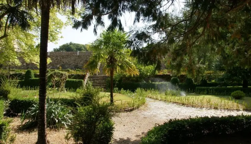 Bosque de Bejar restuarado 06 1