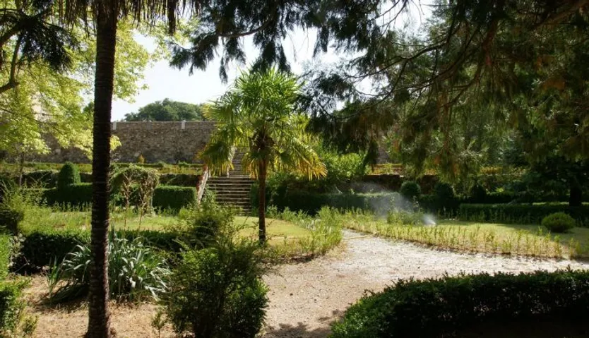 Bosque de Bejar restuarado 06 1