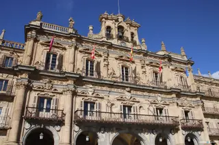 El PSOE de Salamanca propone una campaña municipal para concienciar sobre el ictus