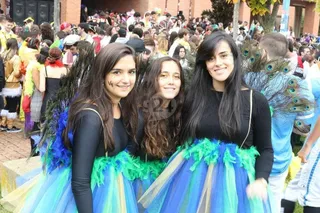 Fiestas de Medicina 2016