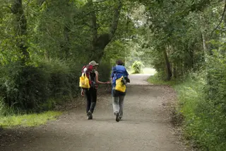 Peregrinos en el Camino de Santiago