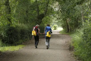 Peregrinos en el Camino de Santiago