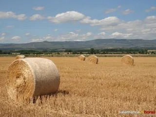 1357050