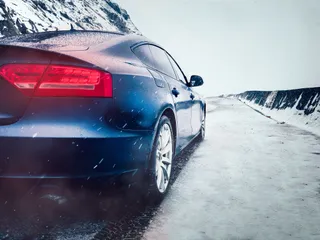 Día de la Nieve