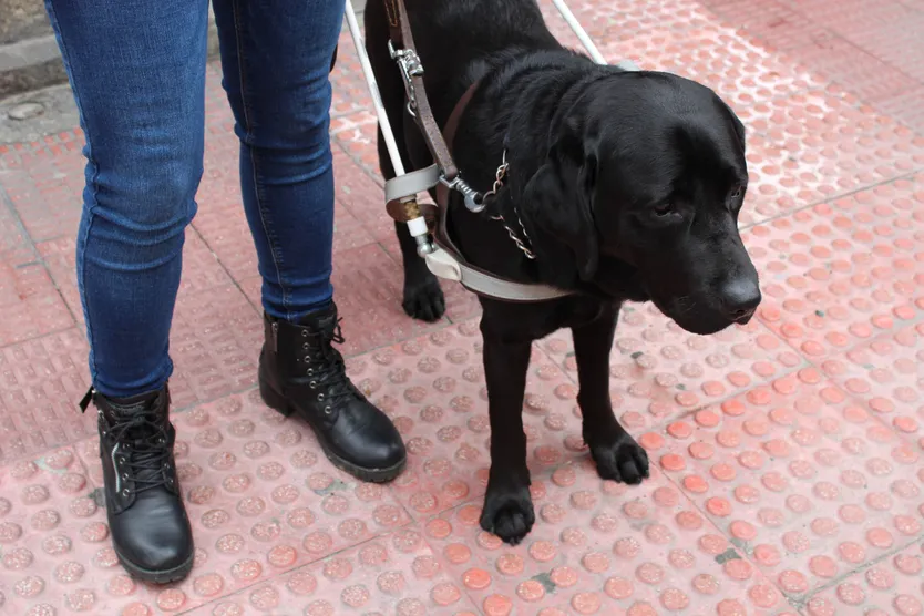 Alicia Paniagua junto a su perro guía