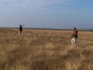 Mañana comienza la temporada de caza menor en Castilla y León