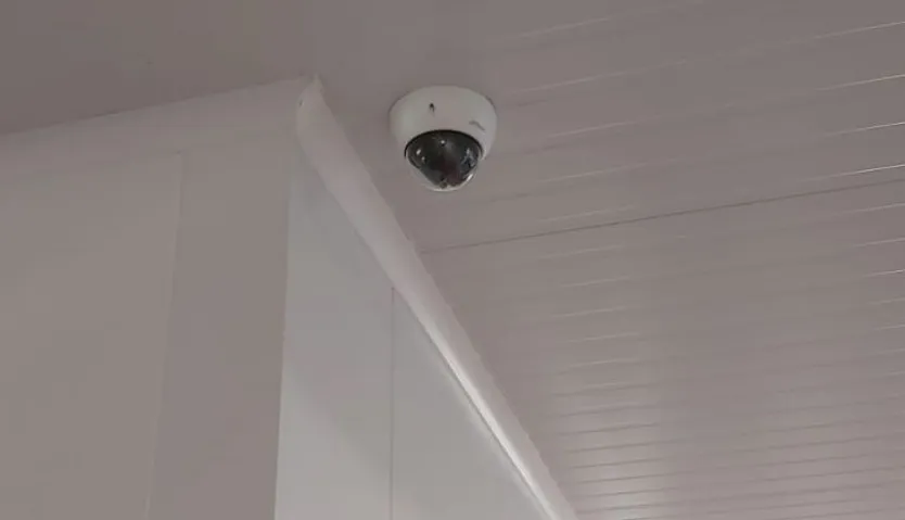 Cámaras de vigilancia de la cocina